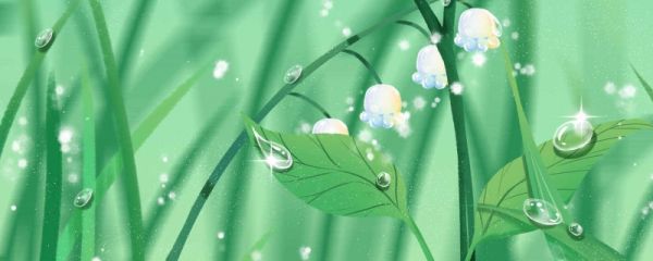 什么节气开始有露水 白露的气候变化