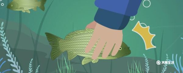 清江鱼是海鱼还是河鱼 清江鱼是海鱼吗