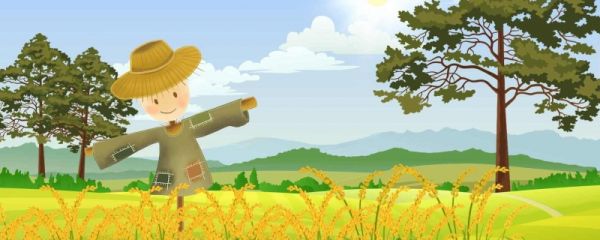 处暑节气前后的民俗 处暑的由来