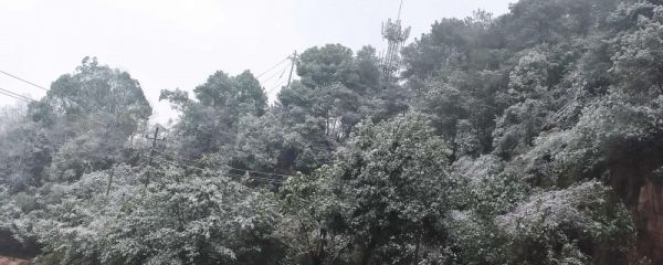 世界气象日有过哪些宣传口号 口号由谁制定