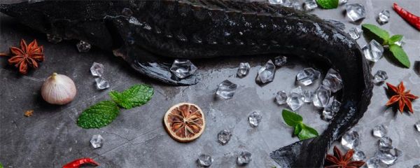 黑鱼吃什么食物 黑鱼在家怎么养