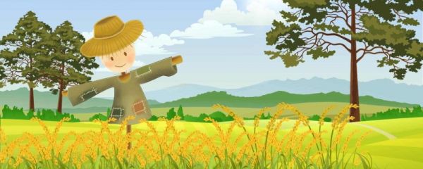 三伏天从哪个节气开始 三伏天出汗过多怎么调理