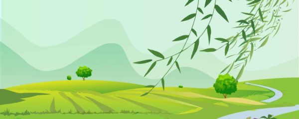 2023年闰二月能否迁坟 有哪些讲究