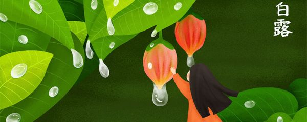 白露节气的由来和风俗 白露三候是什么