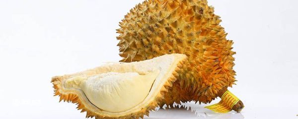 榴莲不开口怎么办 榴莲不开口怎么解决