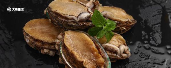 鲍鱼煲汤用什么材料 鲍鱼煲汤可以用什么材料