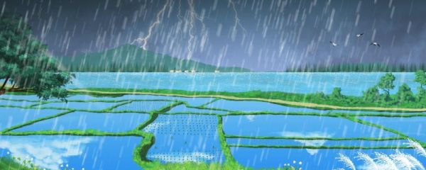 过了谷雨是什么季节 气候有什么特点
