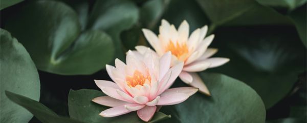 夏天是几月 夏天是几月到几月