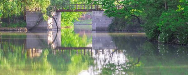 鄱阳湖位于哪个省 最大淡水湖鄱阳湖位于哪个省
