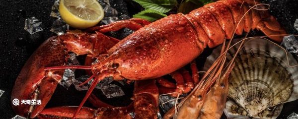 澳大利亚代表性食物 澳大利亚代表性食物是什么