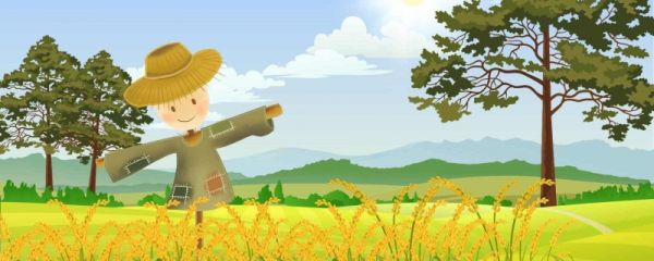 三伏40天的原因 三伏天过后气温会降低吗