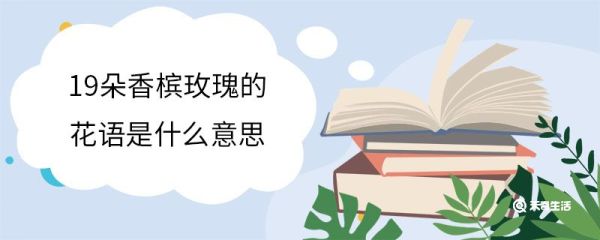 19朵香槟玫瑰的花语是什么意思 香槟玫瑰的花期是什么时候