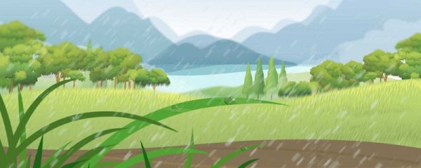 谷雨后的茶好吗  有什么作用