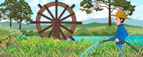 小满节气古诗大全 小满三候是什么