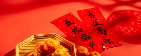 关于春节的对联有哪些