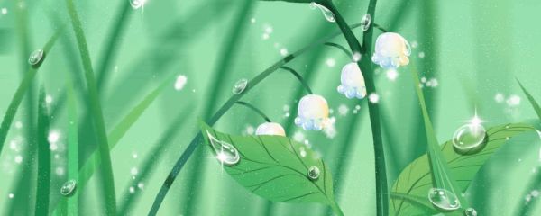 什么叫白露 白露的气象变化