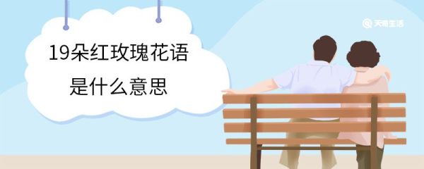19朵红玫瑰花语是什么意思 玫瑰花的花季是什么时候
