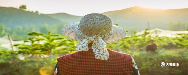 三夏生产作业人员是什么意思 三夏生产作业人员培训