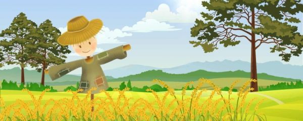 小暑节气为什么吃黄鳝 什么是小暑节气