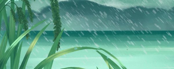 2023谷雨日期怎么算 谷雨有哪些习俗