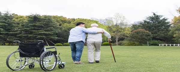 树欲静而风不止下句 树欲静而风不止，子欲养而亲不待原文