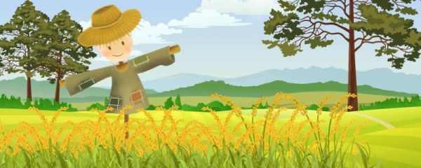 夏至的唯美句子有哪些 夏至节气的来源是什么