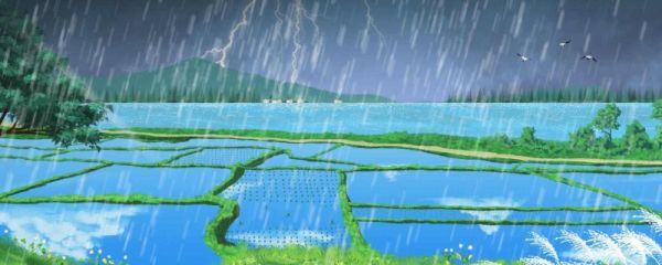谷雨吃什么菜 有什么功效