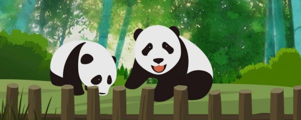 熊猫丫丫什么时候回国 熊猫丫丫多少岁了