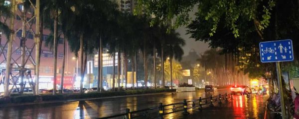 谷雨吃什么养胃  有什么特点