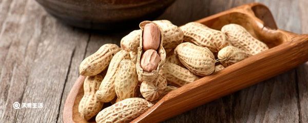 花生属于什么类食物 花生属于啥类食物