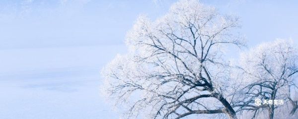 下雪的唯美短句 雪的句子短句唯美