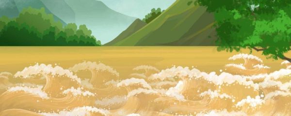 黄河下游是哪里