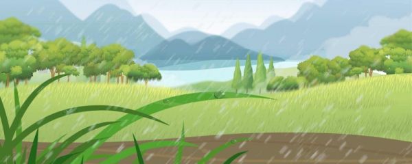 谷雨有什么代表花 产地是哪里