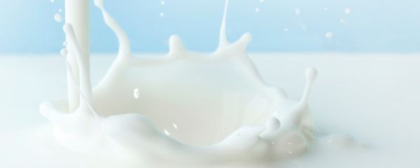 纯牛奶是全脂牛奶吗 什么是全脂牛奶
