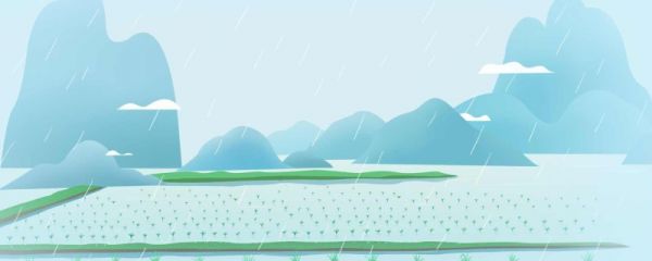 谷雨茶对眼睛好吗 含有哪些成分