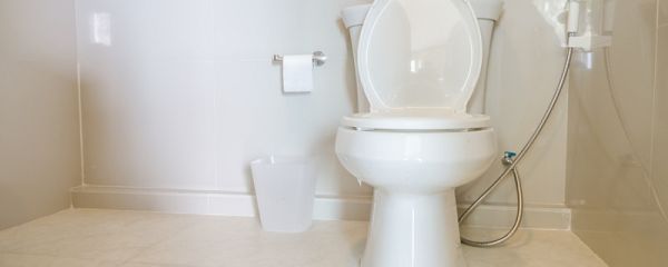 坐式马桶堵了怎么办 坐式马桶堵了怎么疏通