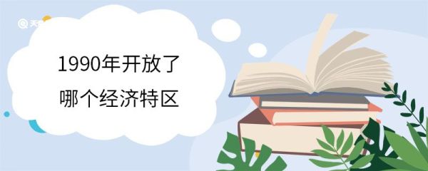 1990年开放了哪个经济特区 1990年开放了什么经济特区
