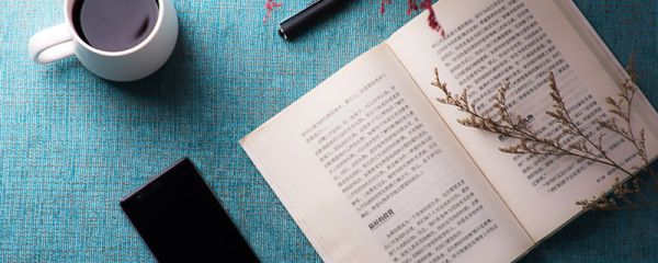 无言以对是什么意思  无言以对什么意思