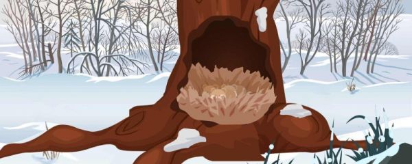 小雪节气问候祝福语句 小雪节气问候语句大全