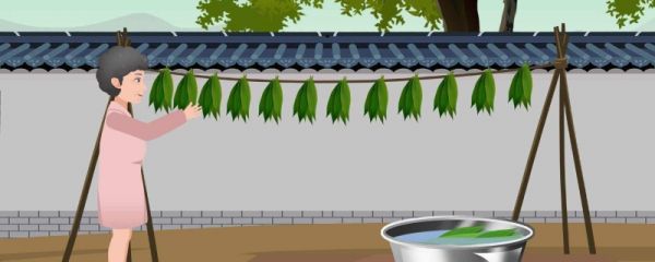 包粽子的叶子是什么 包粽子叶子光面朝里还是朝外