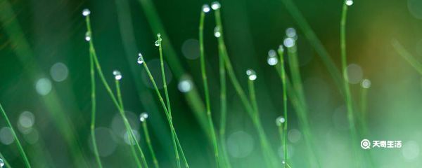 白露节气农作物的生长 白露节气的特点