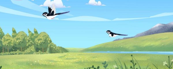 春游适合去什么地方 何时去好