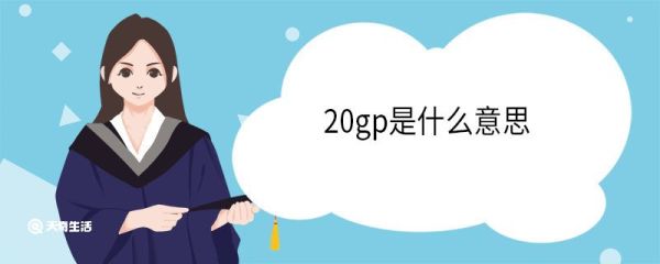 20gp是什么意思 集装箱20gp和20hq有区别吗