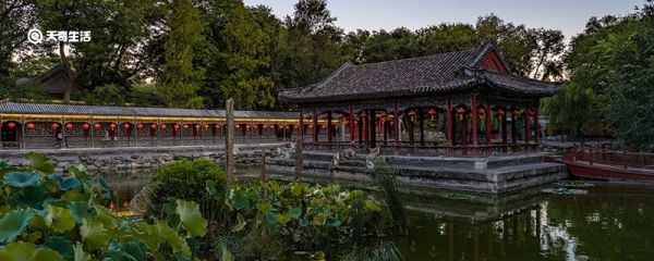 望湖楼在什么地方 望湖楼的位置