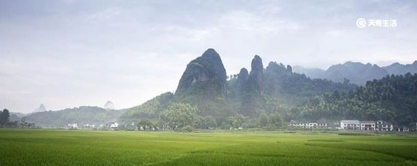 一山有四季的形成原因是 一山有四季的形成原因