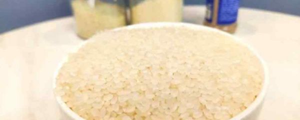 大米里的虫子从哪里来 大米生虫子还能吃吗