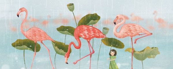 寒露在什么季节里  寒露节气的由来