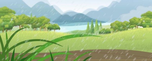 老年人喝谷雨茶好吗 有什么特点