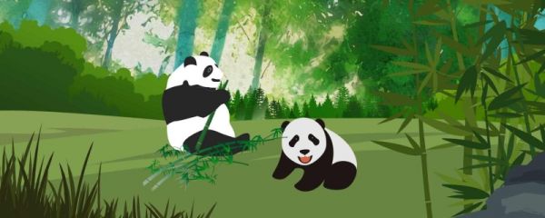 大熊猫喜欢爬树与哪种生存需求有关 11.21蚂蚁庄园答案