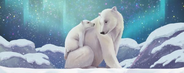 北极熊在南极还是北极 北极熊在南极还是北极生活
